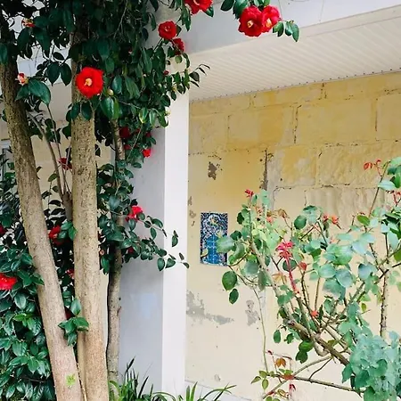 T2 Tres Cosy Au Calme En Hyper Centre.