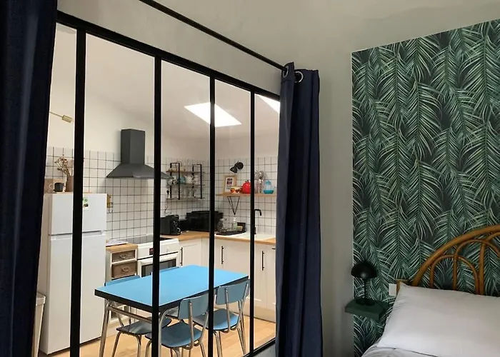 T2 Tres Cosy Au Calme En Hyper Centre. *